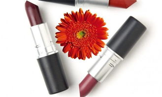 博成化妆品 产品展示与店铺装修的系统化计算机解决方案